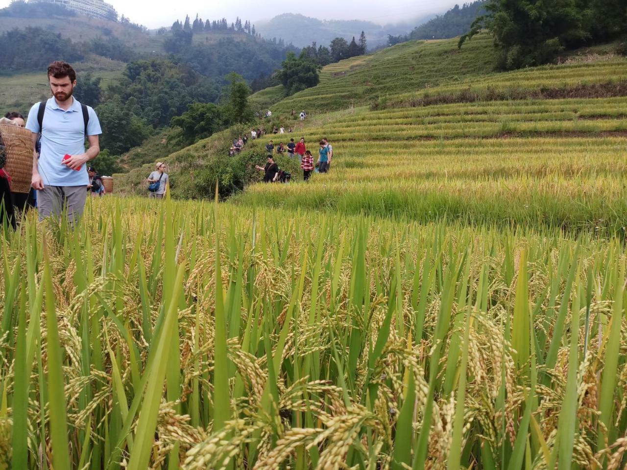 Tuongmai Home & Trekking Tour Sa Pa Exterior photo