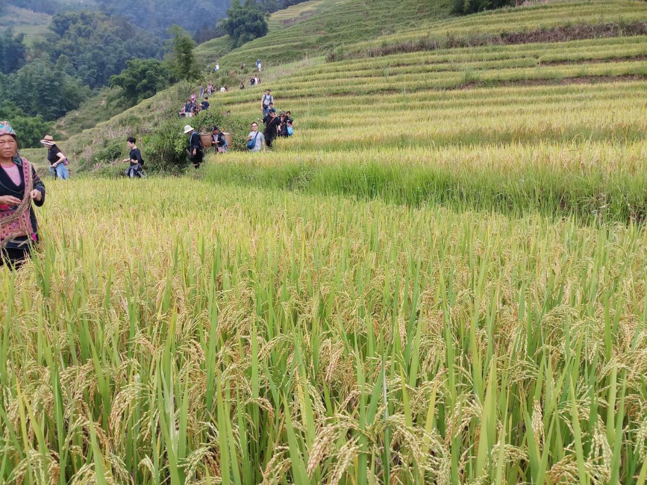 Tuongmai Home & Trekking Tour Sa Pa Exterior photo